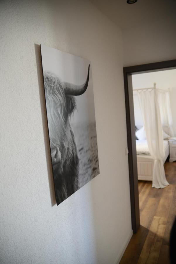 Ferienwohnung Die Alte Schule ダウン エクステリア 写真